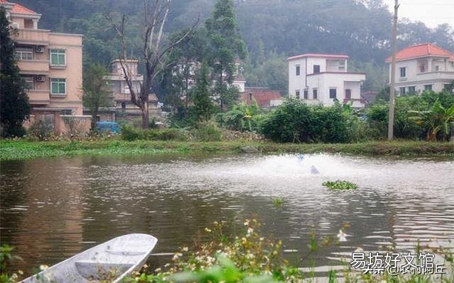 鱼塘消毒后几天可以加入新水?