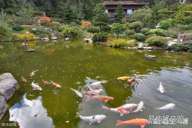 鱼塘消毒后几天可以加入新水?