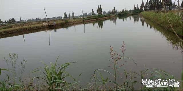 小鱼都游出水面,要下雨了吗?这句话怎么理解?