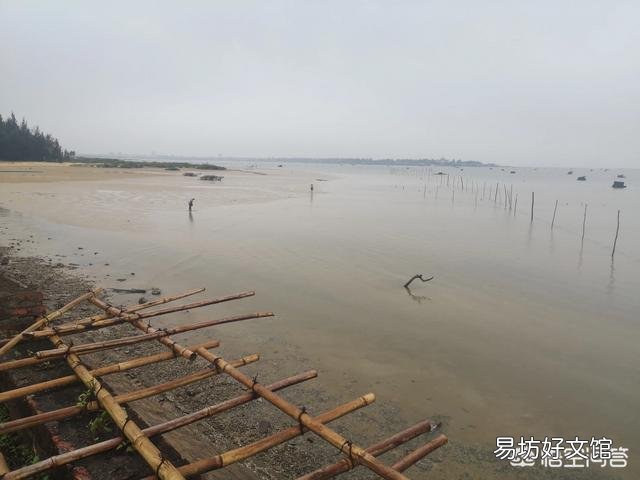 对虾生长慢什么问题?