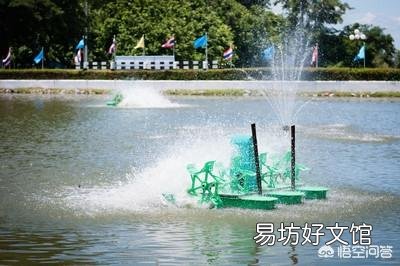 高温天气水产养殖户如何防范鱼塘缺氧翻塘?