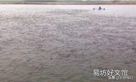 高温天气水产养殖户如何防范鱼塘缺氧翻塘?