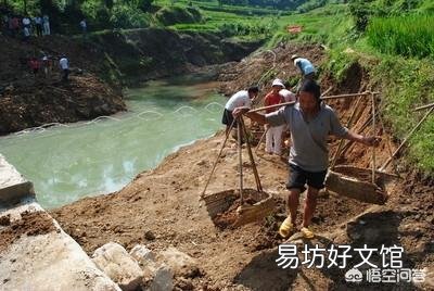 冷水塘,草鱼长不大,养什么鱼更好?