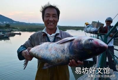 水产养殖,春季池塘水质有哪些变化,该怎样处理?有哪些调控原则?