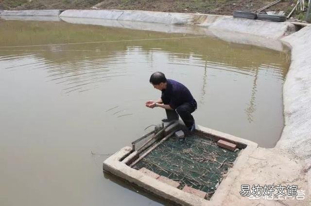 水产养殖,春季池塘水质有哪些变化,该怎样处理?有哪些调控原则?
