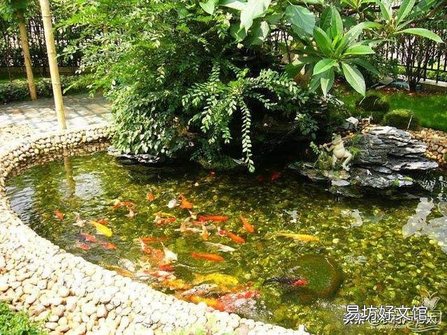 农村的大坑没有打氧也没有喂鱼食,鱼是怎么活下来并长大的?