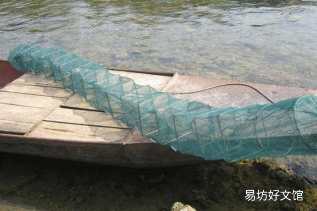 用地笼捕龙虾是什么原理?为什么龙虾、黄鳝等都喜欢进地笼?