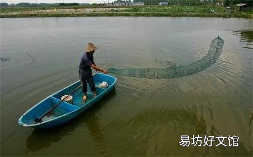 用地笼捕龙虾是什么原理?为什么龙虾、黄鳝等都喜欢进地笼?