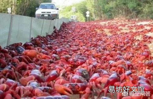 虾塘什么情况下需要改底?