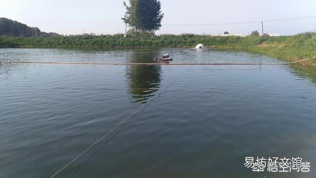 虾塘什么情况下需要改底?
