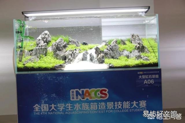 在时间不充裕的情况下怎样养好鱼?