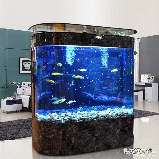 在时间不充裕的情况下怎样养好鱼?