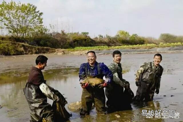 鱼类在食用恩诺沙星后的休药期是多久?
