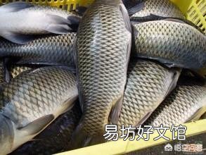 鱼类在食用恩诺沙星后的休药期是多久?