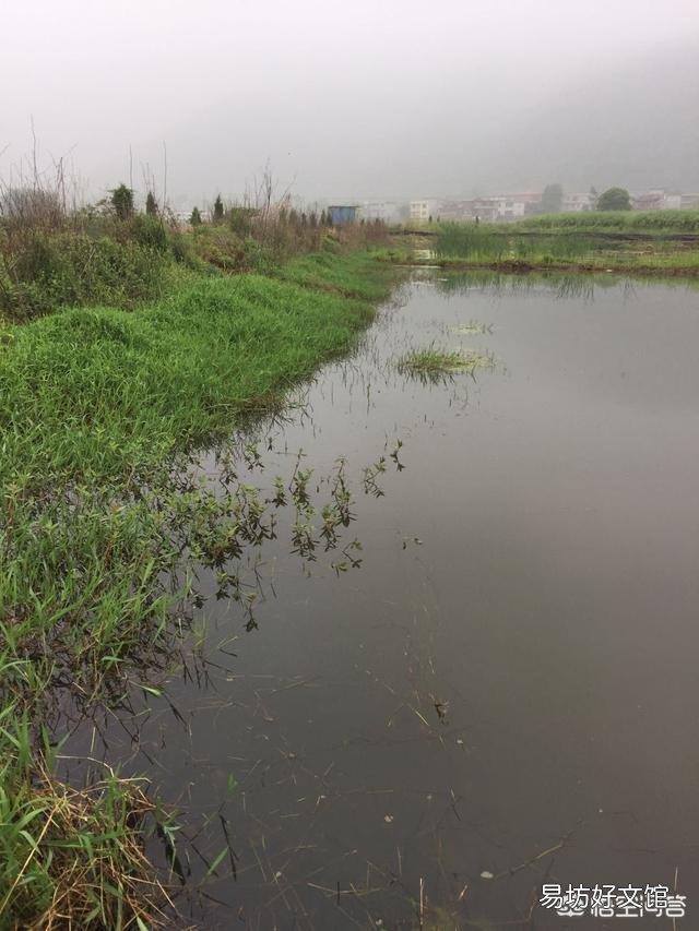 小龙虾养殖时,应该如何加水、换水?有哪些需要注意的技巧?