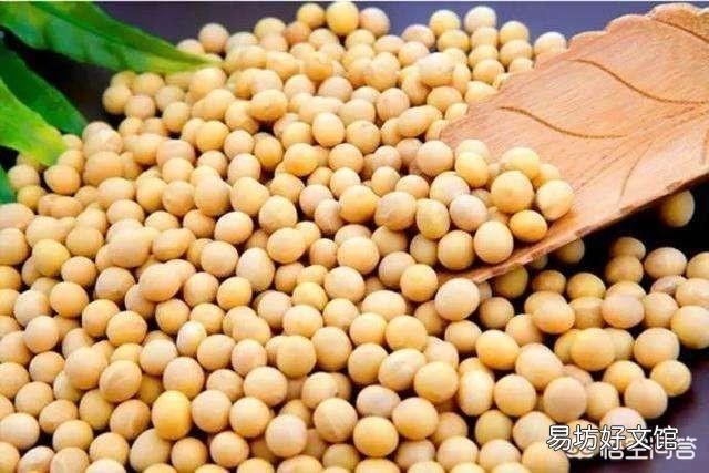 豆粕与黄豆投喂小龙虾哪个好?
