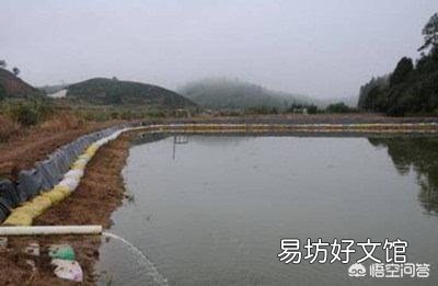 连着阴雨天小龙虾可以加水吗?