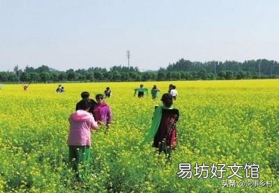 农村大量水稻田改造成鱼塘、虾田合法吗?应该向什么部门反馈?