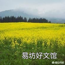 旱地种什么庄稼有收获?