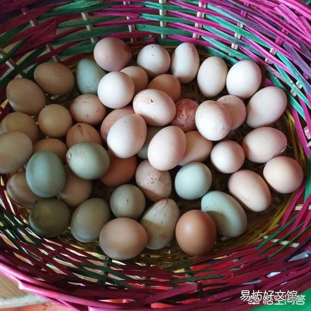 土鸡蛋为什么那么受欢迎?我们能买到真正的土鸡蛋吗?
