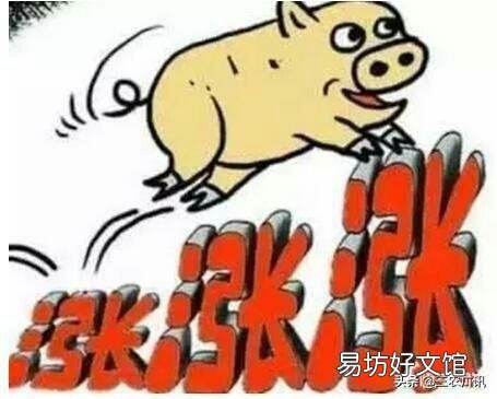 目前手头上有56头猪待出栏,打算出栏之后继续养殖怎么样?