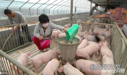 听说猪肉20块钱一斤,如果现在存些,到年底会涨到50元一斤吗?