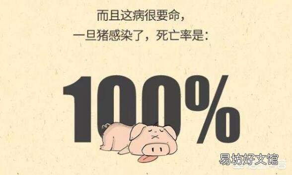 农村养猪是否有发展前景?最后一批猪出栏后是否该继续养?