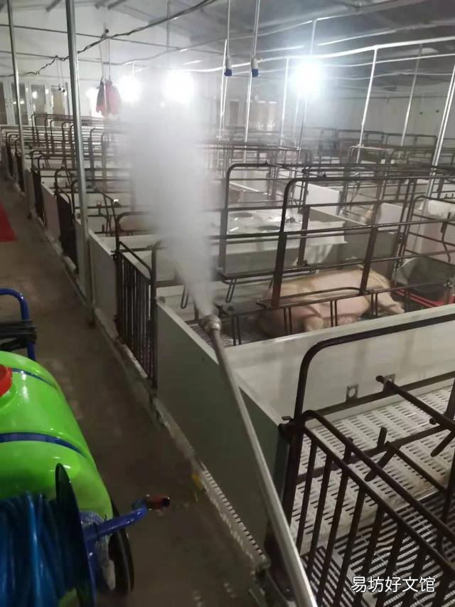 非洲猪瘟什么时候可以完全控制、消除?