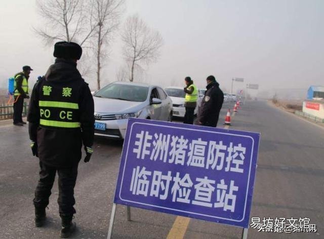 非洲猪瘟什么时候可以完全控制、消除?