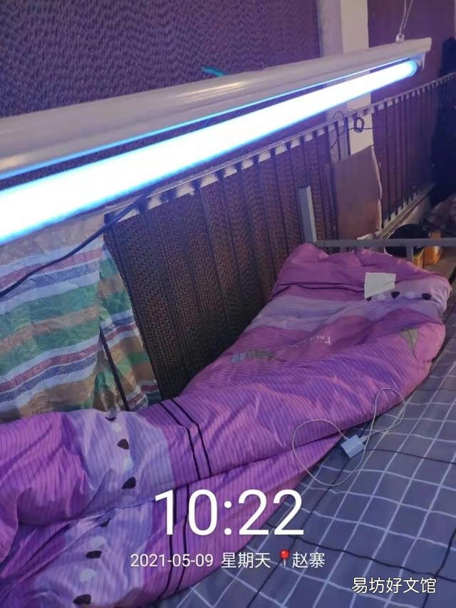 非洲猪瘟什么时候可以完全控制、消除?