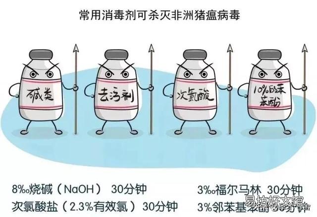 非洲猪瘟什么时候可以完全控制、消除?