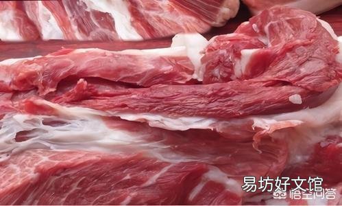 现在投资养猪怎么样,年底会不会涨到30元一斤?