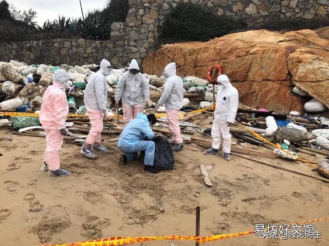 由于非洲猪瘟使很多养猪人闻猪生畏、心有余悸,如果没人养猪,将会产生什么后果?