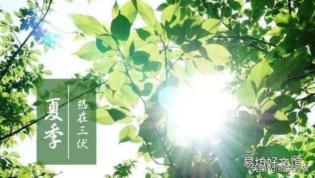 三伏天即将开启,农村老人说三伏天不能做四件事,都是哪些事呢?