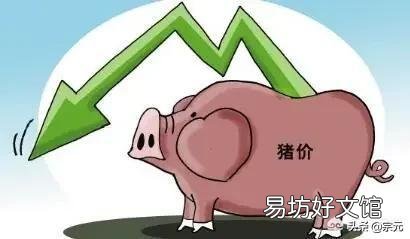 2019年7月3日，东北猪价再次上演“下跌潮”，会带领全国猪价再次走低吗？