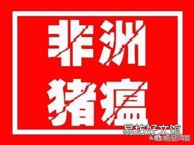 家里猪发了非洲猪瘟怎样处理?