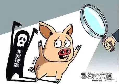 现在很多养猪的老板负债累累,如果你也是其中之一,你应该怎么样面对,怎么扭转乾坤?