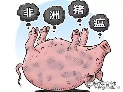 现在很多养猪的老板负债累累,如果你也是其中之一,你应该怎么样面对,怎么扭转乾坤?