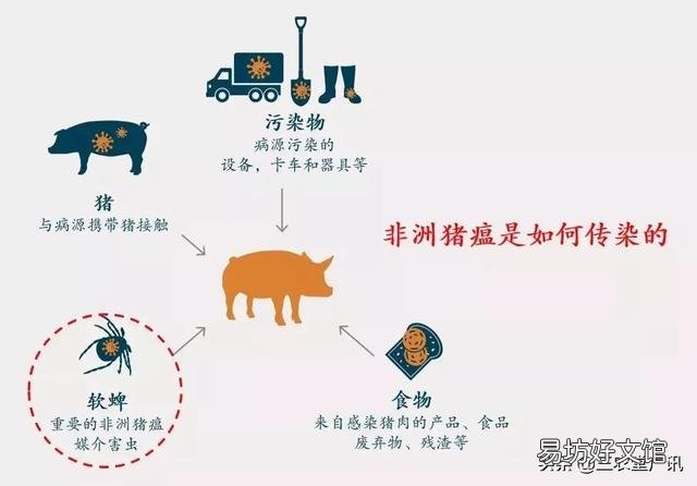 现在很多养猪的老板负债累累,如果你也是其中之一,你应该怎么样面对,怎么扭转乾坤?