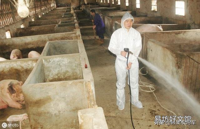 离我们很近的市区附近猪场已经感染了非洲猪瘟,作为邻县要怎么预防?