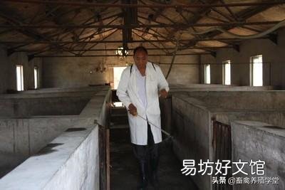 散养户非洲猪瘟扑杀后,养殖场还能不能复养?国家政策是怎么规定的?