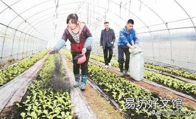 农村土灶里掏出的“草木灰”到底有啥作用？