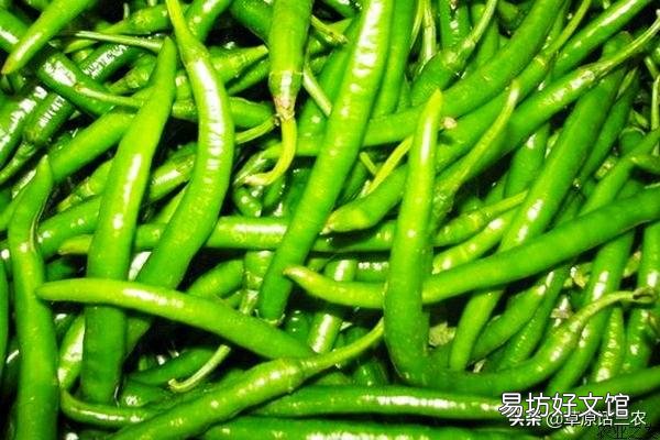 农村土灶里掏出的“草木灰”到底有啥作用？