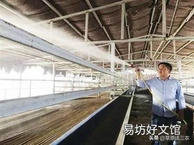 农村土灶里掏出的“草木灰”到底有啥作用？