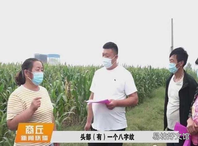 草地贪夜蛾很可怕吗?会对农作物产生什么危害?