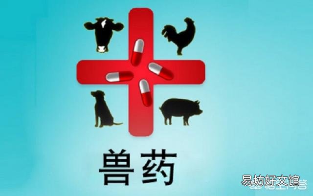 俗话说:“人畜一理”,农村牲畜病了,可否参照人生病的症状,喂一些人用药?