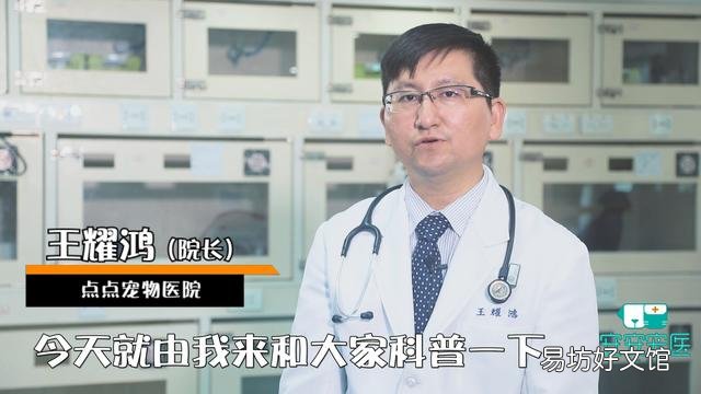 幼猫打喷嚏怎么回事(幼猫打喷嚏眼睛有眼屎)