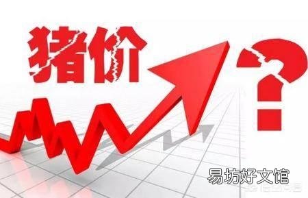 6月18猪价多地突破9元,月底是不是能破10呢?现在能不能大量补栏呢?