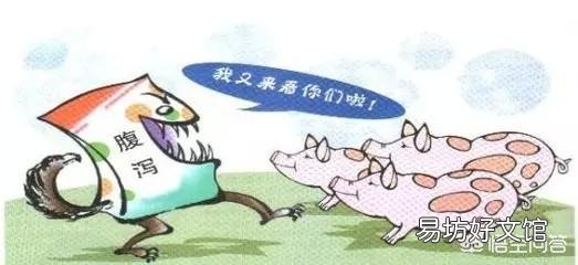 养殖场猪仔一直腹泻,是什么原因造成的?