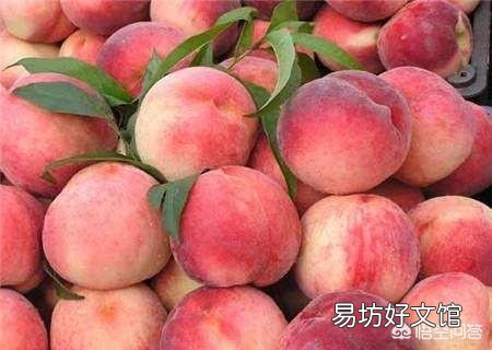 今年桃子上市价格比去年贵多了，为啥果农却说不赚钱呢？为啥呢？